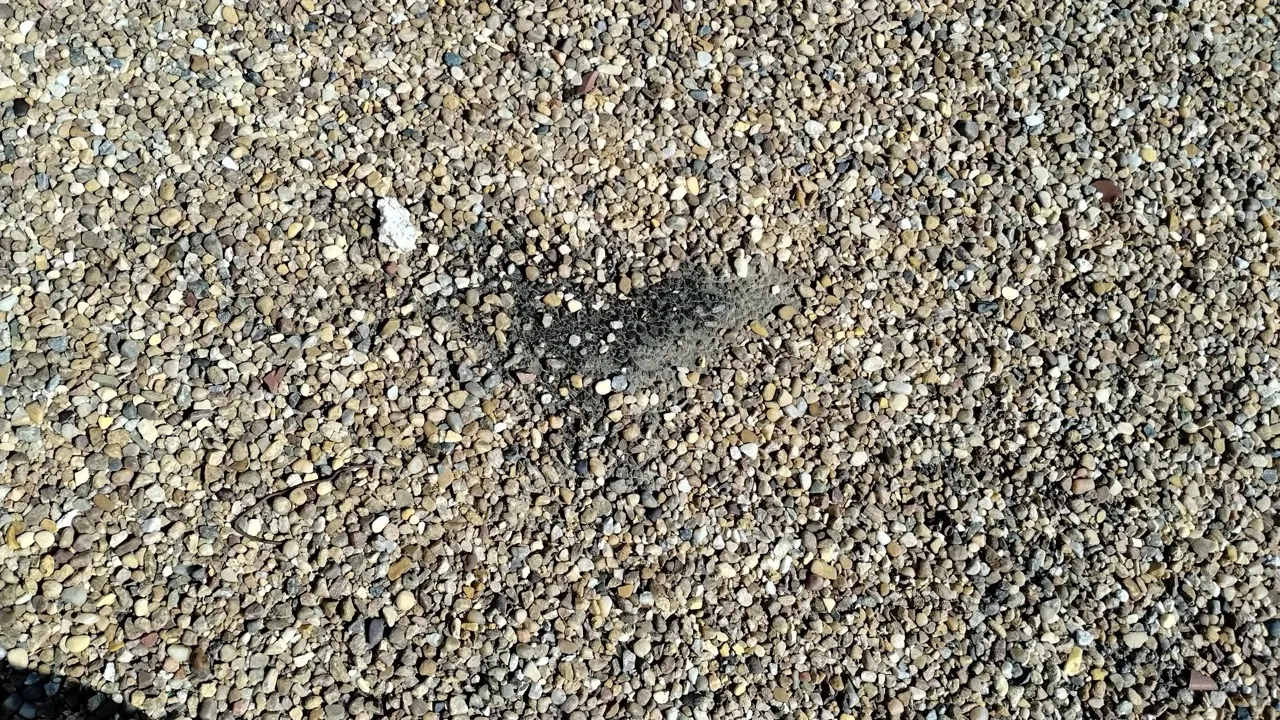 TPO membrane installation on commercial flat roof in Pampa TX - 5 Star Roofing