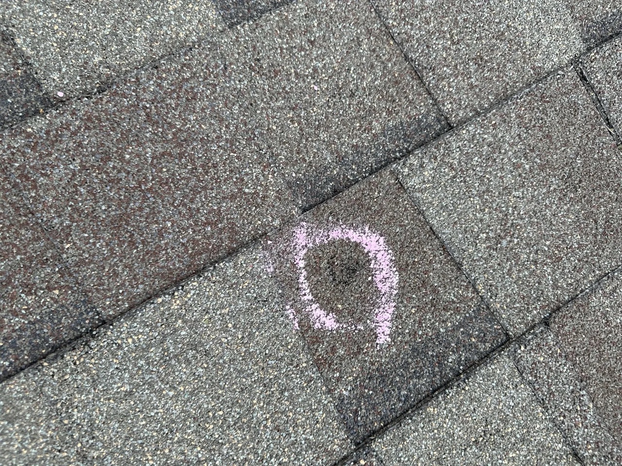 Close-up of hail damage on asphalt shingles marked with spray-paint circles at each impact point