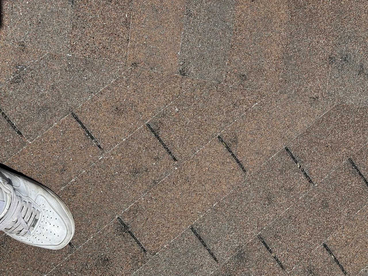 Close-up of asphalt shingles showing multiple dark impact marks consistent with hail damage
